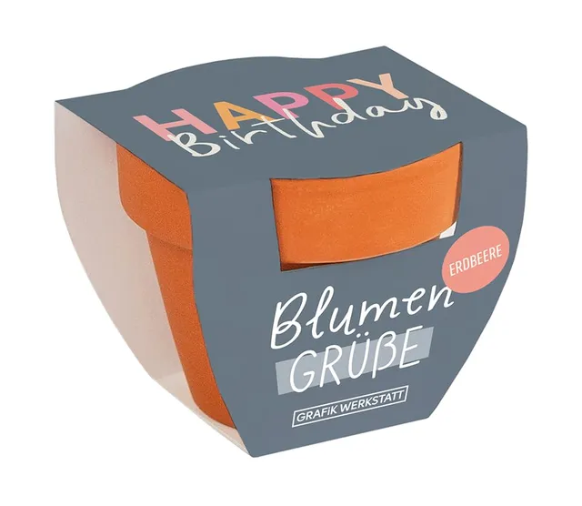 grafik-werkstatt-blumengr-e-mini-terrakotta-t-pfchen-sommerblumen-mix-happy-birt-2 image 1