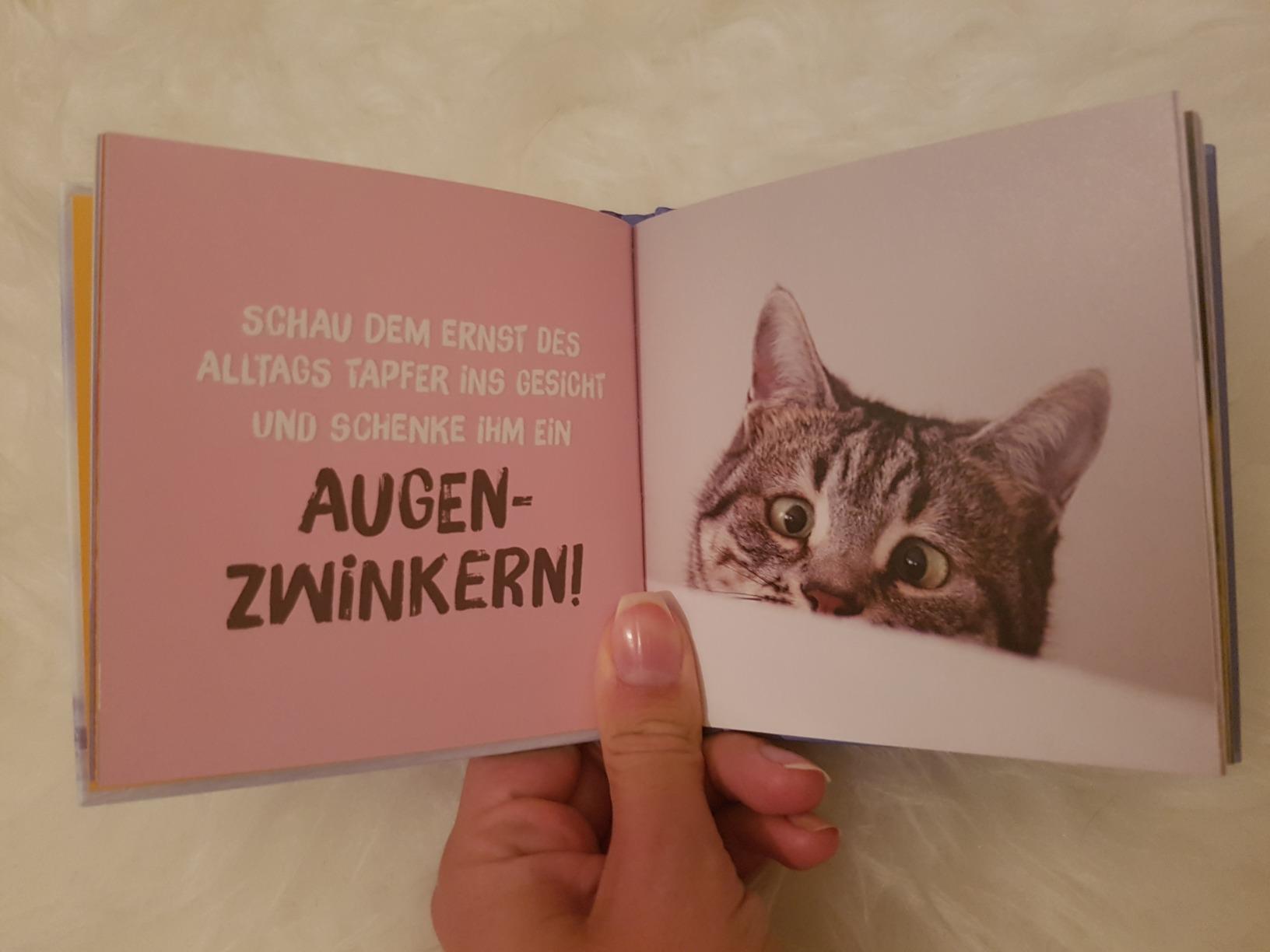 Süß