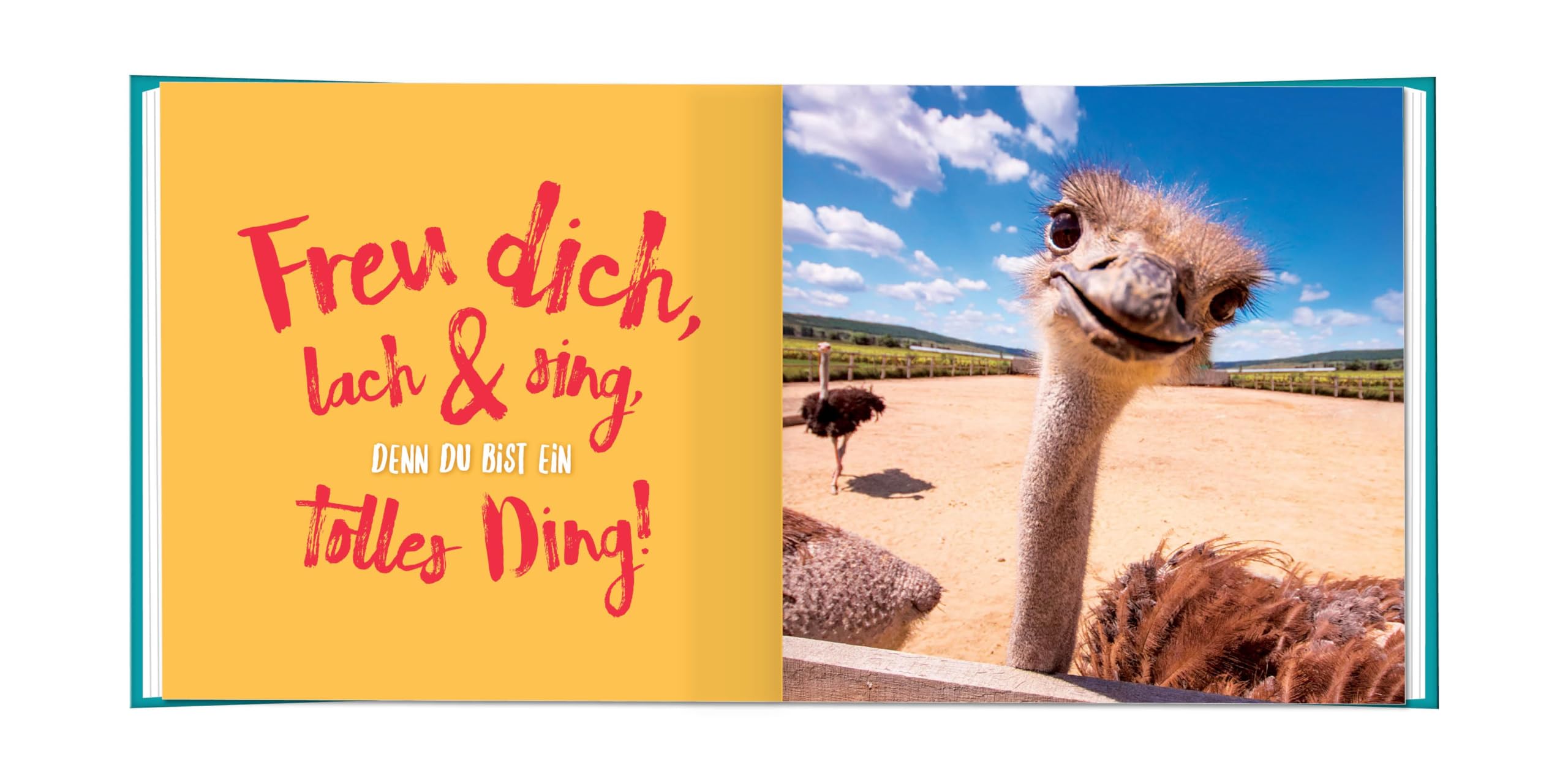 grafik-werkstatt-yeah-du-bist-absolut-gro-artig-minibuch-motivation image 5