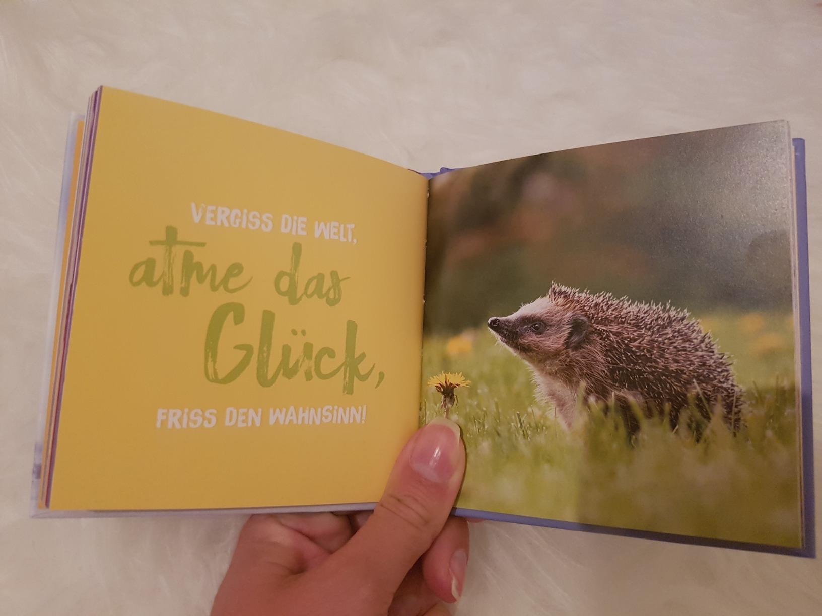 Kleine Freude, große Wirkung