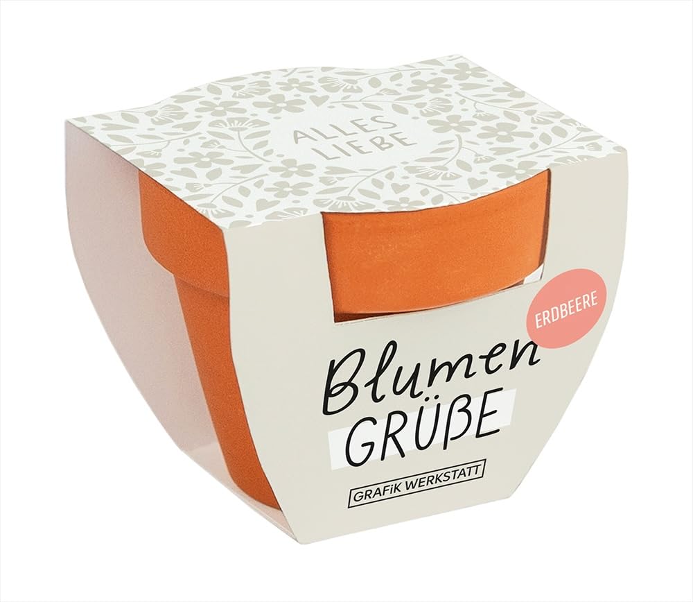 grafik-werkstatt-blumengr-e-alles-liebe-mini-terrakotta-t-pfchen-sommerblumen-mi image 1