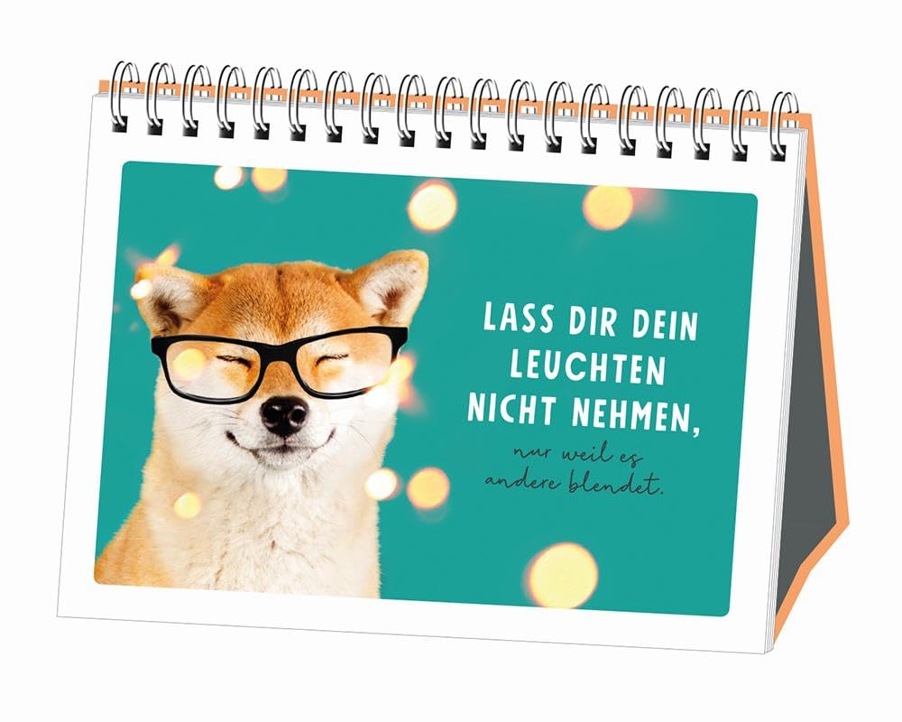 grafik-werkstatt-einfach-tierisch-gut-drauf-spiralbuch image 4