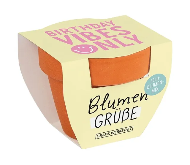 grafik-werkstatt-blumengr-e-mini-terrakotta-t-pfchen-sommerblumen-mix-birthday-v image 1