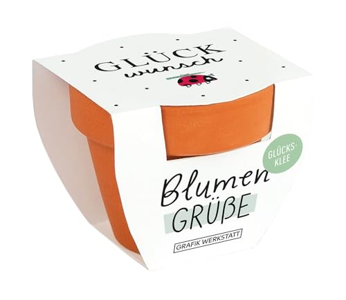grafik-werkstatt-blumengr-e-gl-cksklee-mini-terrakotta-t-pfchen-mit-samen-6-x-5- image 3