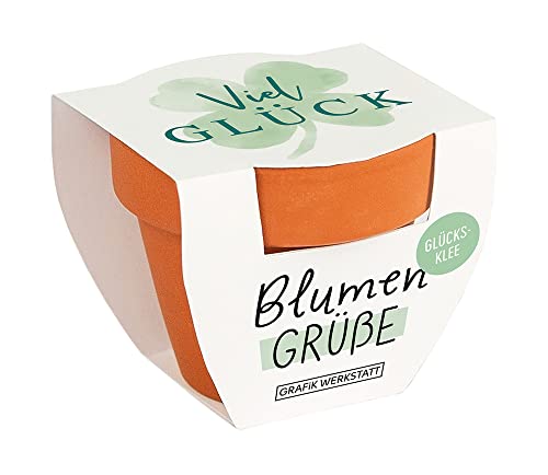 grafik-werkstatt-blumengr-e-mini-terrakotta-t-pfchen-gl-cksklee-viel-gl-ck image 3