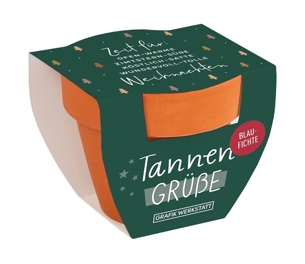 grafik-werkstatt-tannengr-e-blaufichte-mini-terrakotta-t-pfchen-mit-samen-zeit-f image 1