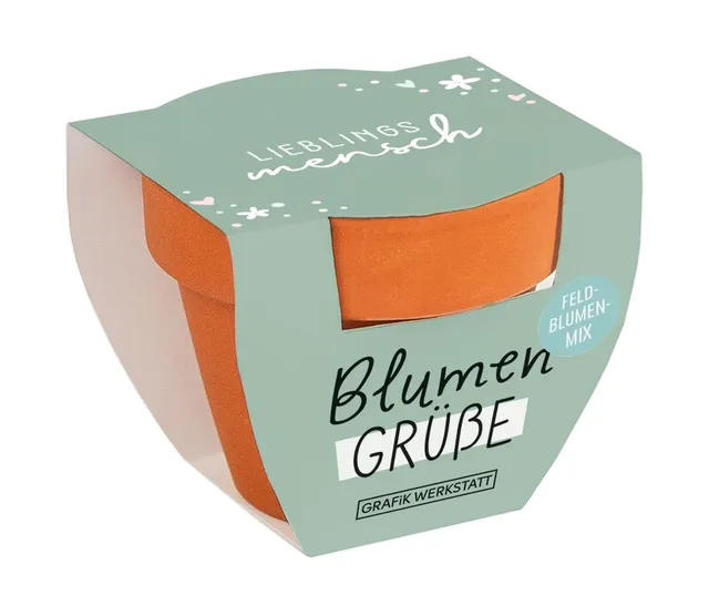 grafik-werkstatt-blumengr-e-mini-terrakotta-t-pfchen-mit-samen-sommerblumen-mix- image 1