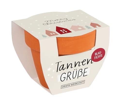 grafik-werkstatt-tannengr-e-blaufichte-mini-terrakotta-t-pfchen-mit-samen-merry- image 6