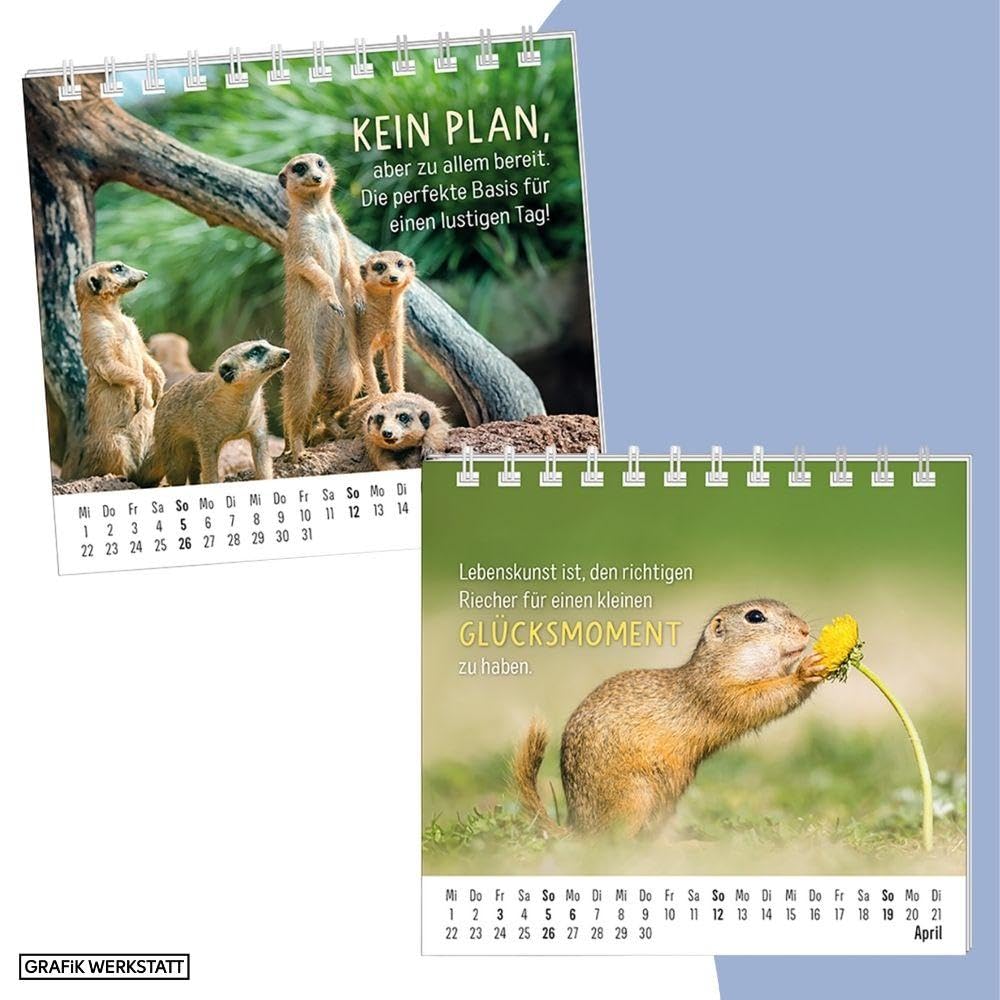 grafik-werkstatt-mini-kalender-2026-happymacher-mini-kalender image 5