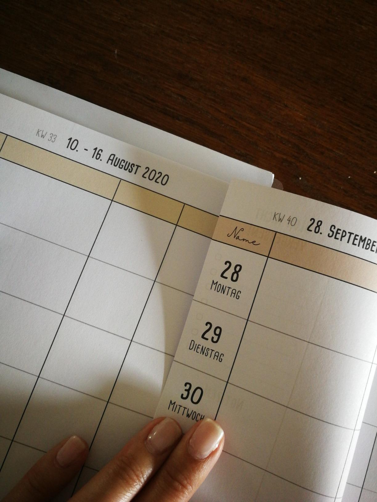 Beste Anschaffung 2024