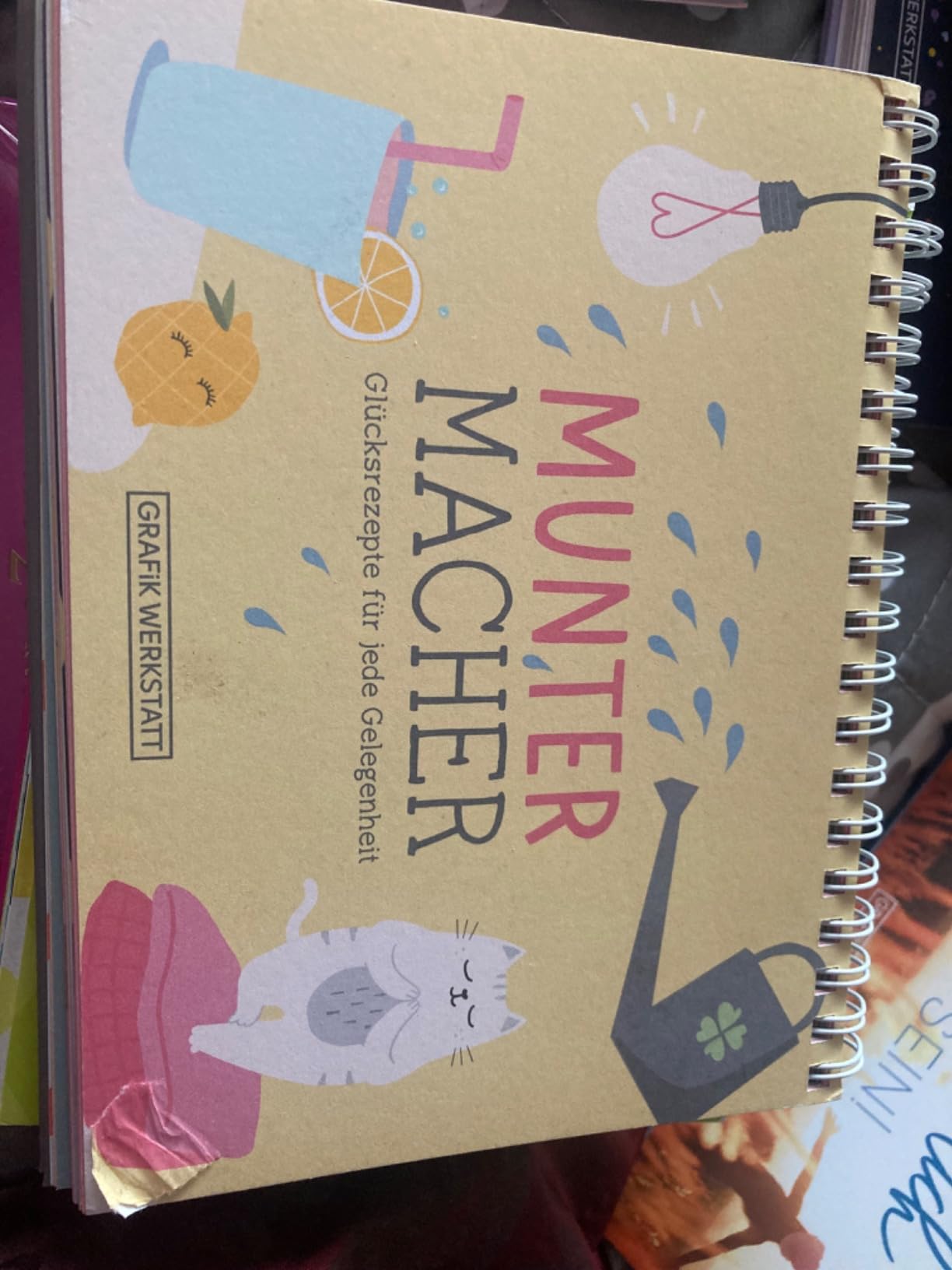 Gute-Laune-Buch