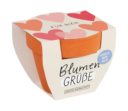 grafik-werkstatt-blumengr-e-mini-terrakotta-t-pfchen-sommerblumen-mix-f-r-dich-o image 5
