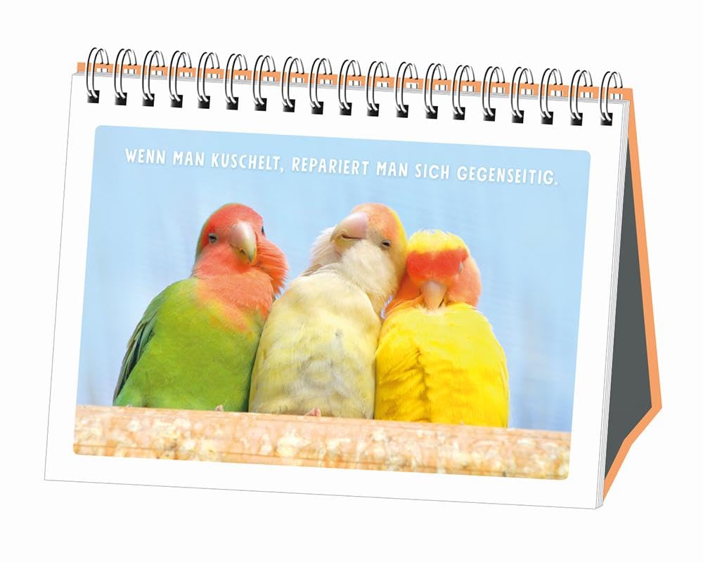 grafik-werkstatt-einfach-tierisch-gut-drauf-spiralbuch image 6