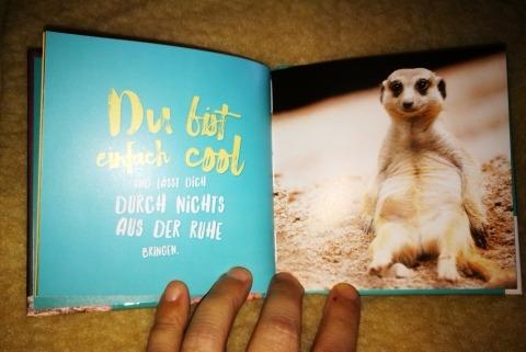 Idee top, Ausführung okay
