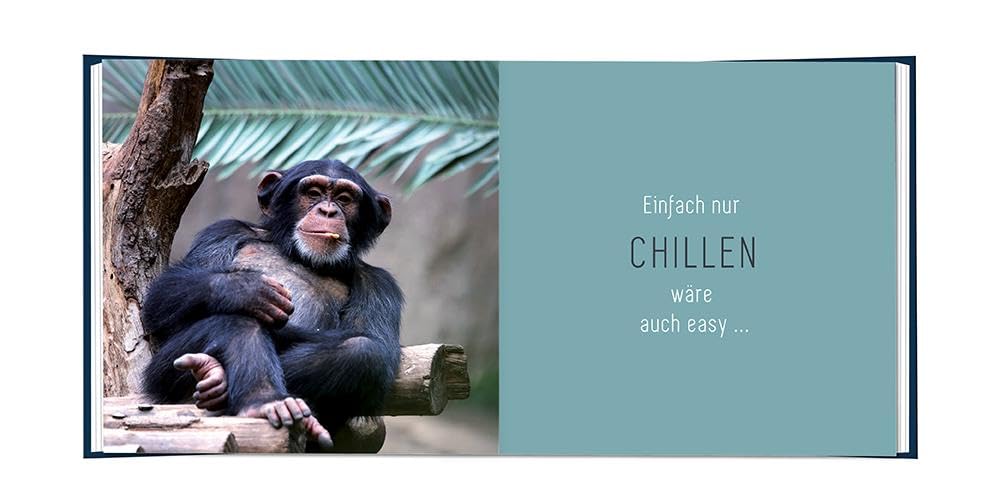 grafik-werkstatt-minibuch-ein-cooler-typ-hat-geburtstag image 4