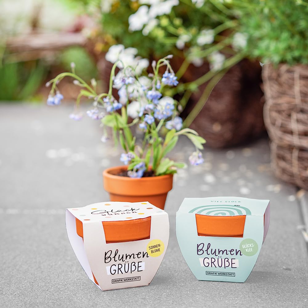 grafik-werkstatt-mini-terrakotta-t-pfchen-sommerblumen-mix-6-x-5-7-x-5-cm image 3