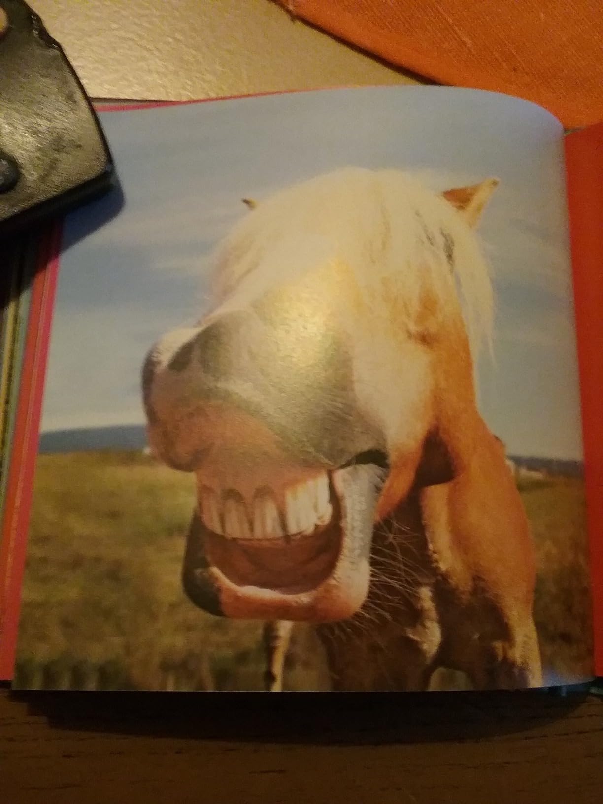 Super süß gemacht