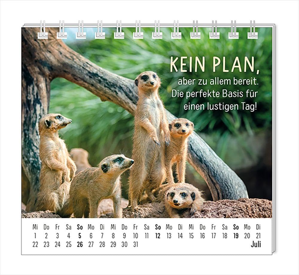 grafik-werkstatt-mini-kalender-2026-happymacher-mini-kalender image 8