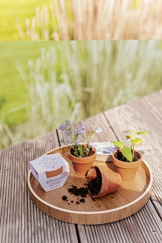 grafik-werkstatt-blumengr-e-mini-terrakotta-t-pfchen-sommerblumen-mix-happy-birt-2 image 7