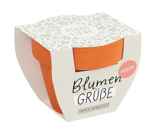 grafik-werkstatt-blumengr-e-alles-liebe-mini-terrakotta-t-pfchen-sommerblumen-mi image 3
