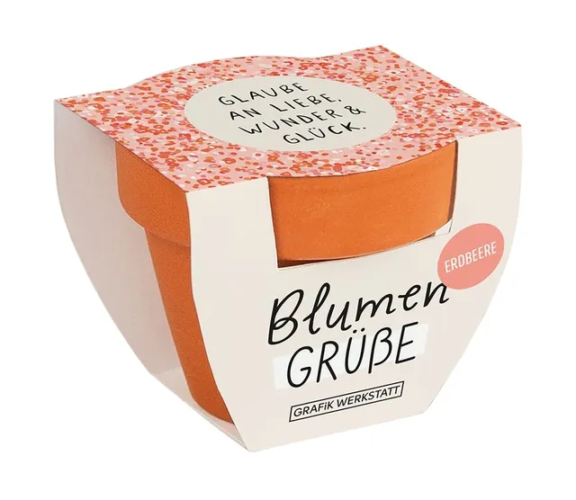 grafik-werkstatt-blumengr-e-sommerblumen-mix-mini-terrakotta-t-pfchen-glaube-an- image 1