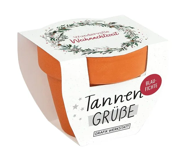 grafik-werkstatt-tannengr-e-blaufichte-mini-terrakotta-t-pfchen-mit-samen-wunder image 1