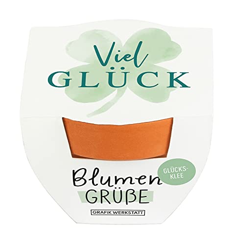 grafik-werkstatt-blumengr-e-mini-terrakotta-t-pfchen-gl-cksklee-viel-gl-ck image 4