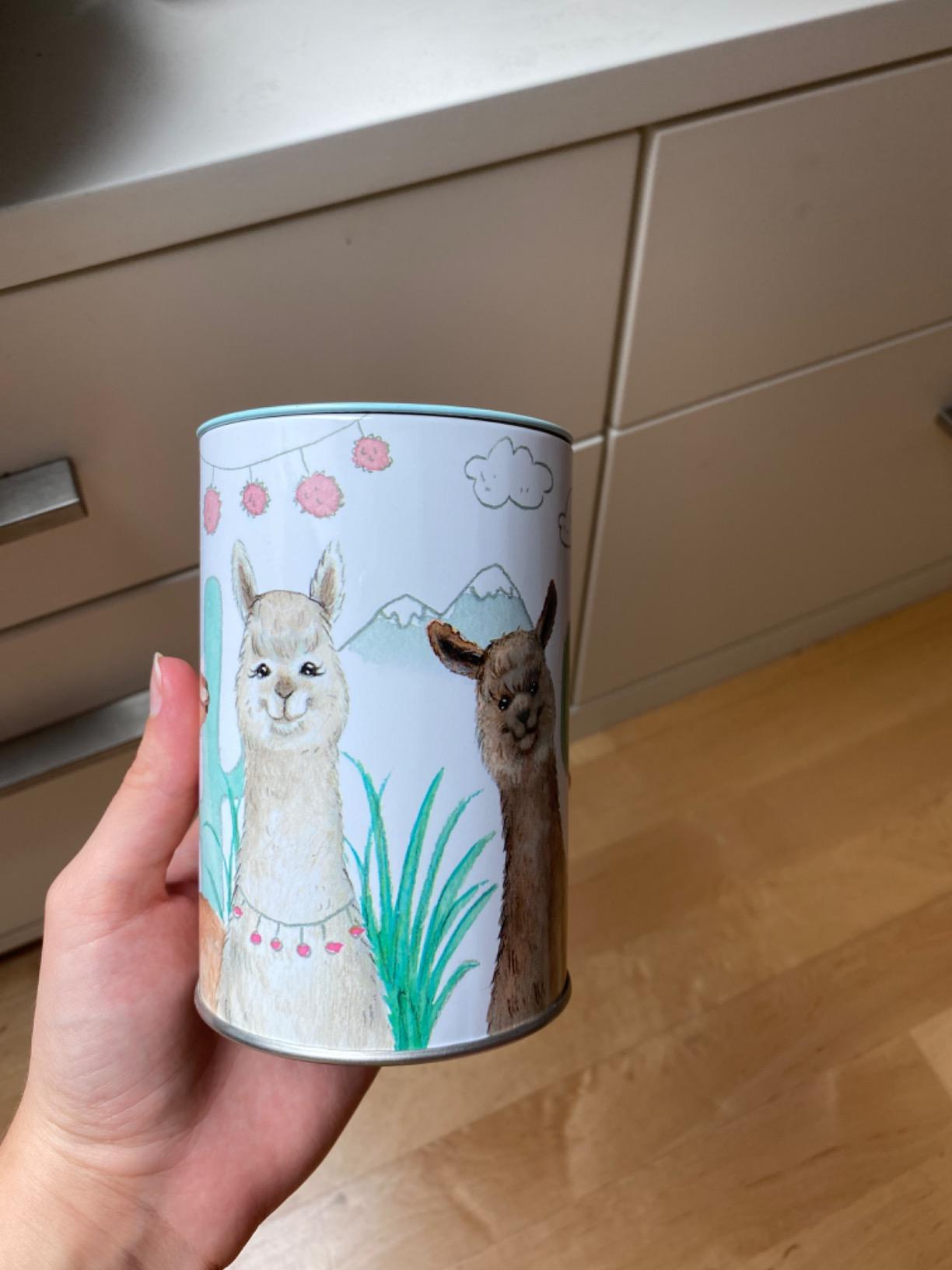 Schönes Geldgeschenk